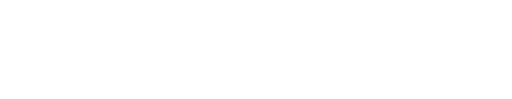 North Star logo neg