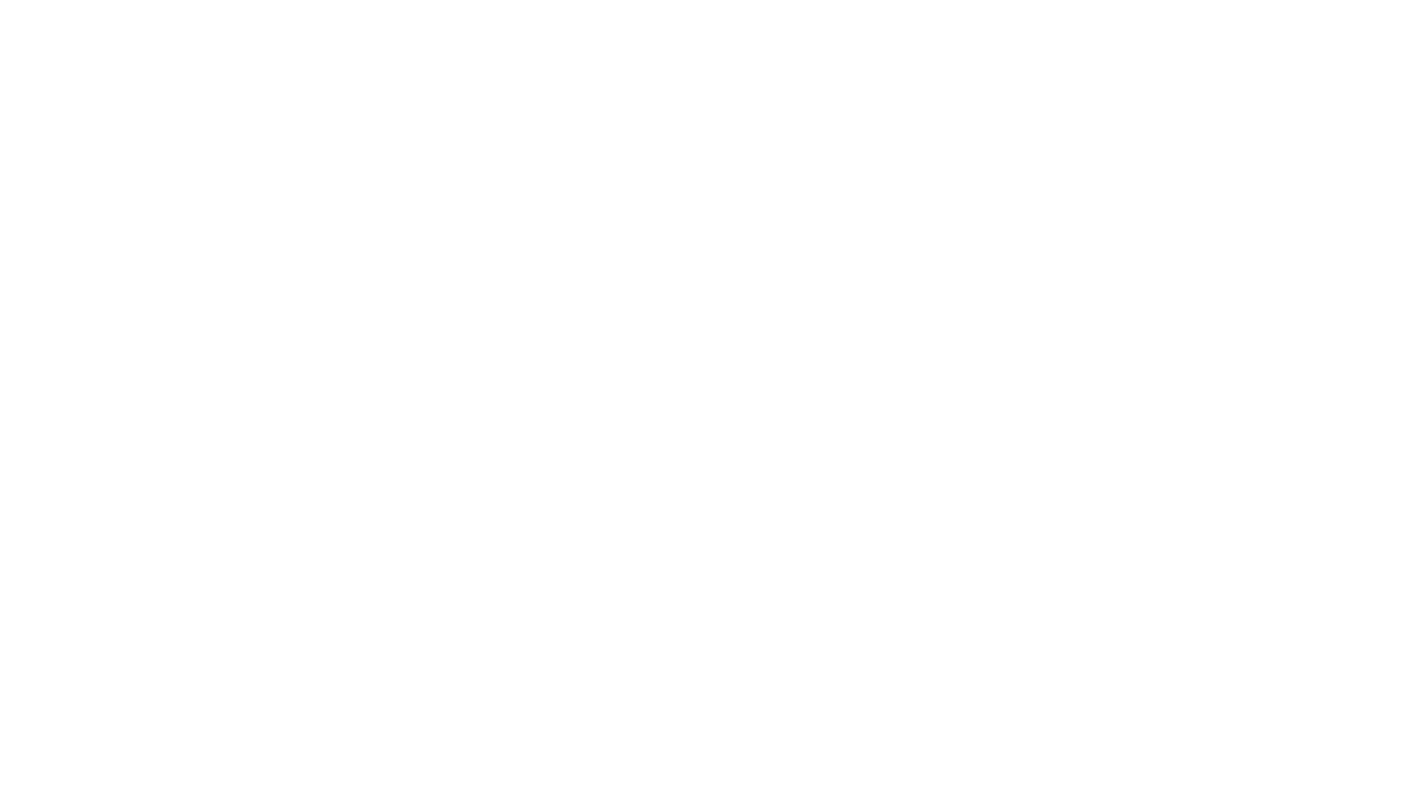 leva_logo_hvit